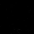 Espelho Bucal Odontológico Nº5 OU Nº 03 e Cabo Colorido - Lysanda