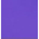 Sterilys Grande - Estojo Caixa Organizadora Odontológica Lysanda | Segurança e Organização para Instrumentais - Lysanda