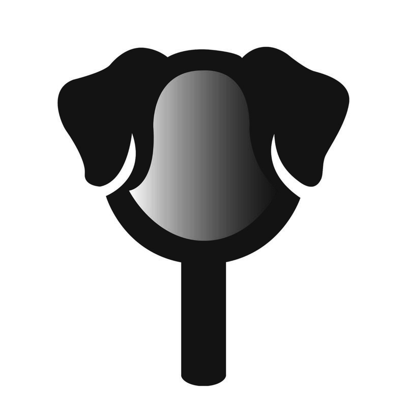 Espelho de Mão Divertido Lysanda - Modelos Gatinho, Cachorrinho, Borboleta - Lysanda